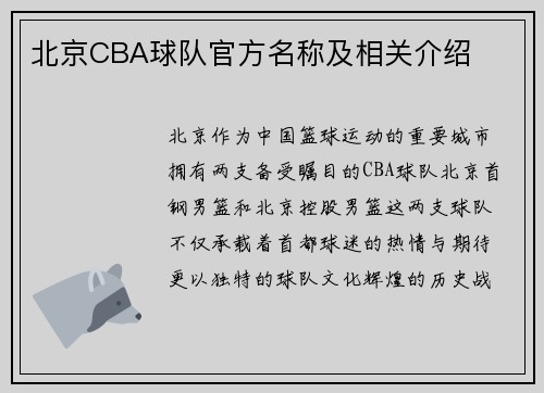 北京CBA球队官方名称及相关介绍